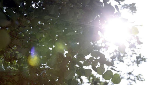 Narednih dana u BiH temperatura do 30 stepeni Celzijusa