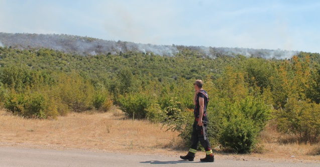 Helikopteri gase požar na granici opština Čapljina i Čitluk
