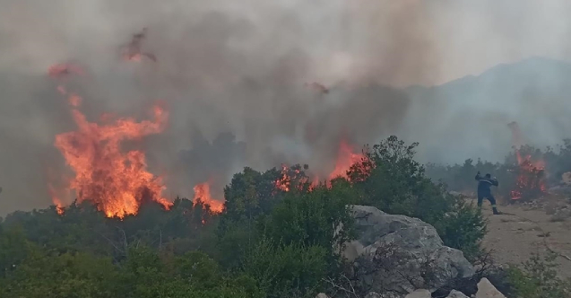 Požar u Neumu i dalje aktivan, zatražena pomoć iz zraka