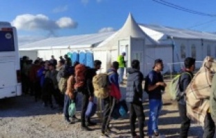 U kamp Lipa izmješteno 255 migranata