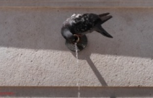 Crveno upozorenje za veći dio BiH: Temperature i do 41°C