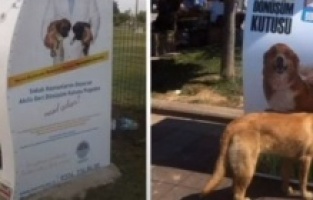 U Srbiju iz Turske stižu četiri aparata za recikliranje plastike: Zauzvrat aparati doziraju hranu za napuštene mačke i pse