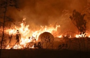 Vanredno stanje u Sjevernoj Makedoniji zbog požara