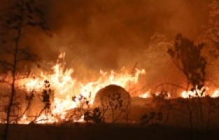 Veliki požar u Kočanima u Sjevernoj Makedoniji stavljen pod kontrolu