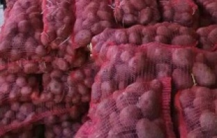 Cijena krompira utrostručena: Na tezgama ga teško pronaći