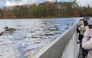 U Belgiji građani uživaju u šetnji neobičnom „stazom kroz vodu“