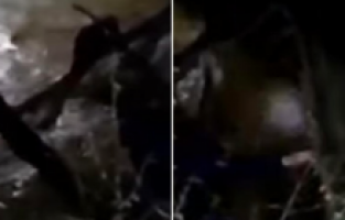 Policija spasila tursku migrantkinju iz rijeke