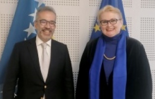Ministrica Turković se sastala sa potpredsjednicima Evropskog parlamenta i izvjestiocem za BiH u EP