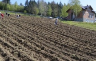 Cijene poljoprivrednih proizvoda u šest godina porasle za 26,9 posto