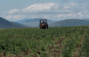 Poljoprivrednici u FBiH dobit će 1,4 miliona litara dizel goriva