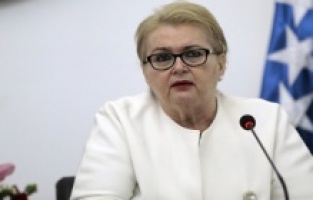 Turković sa češkim parlamentarcima o proširenju EU i poziciji Zapadnog Balkana i Bosne i Hercegovine