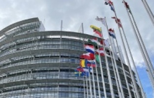 Evropski parlament osudio retoriku mržnje i opstrukciju državnih institucija u BiH