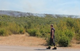 Helikopteri gase požar na granici opština Čapljina i Čitluk