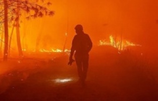 Vatrogasci uz herojsku borbu sa vatrenom stihijom stavili pod kontrolu požar na Krasu u Sloveniji