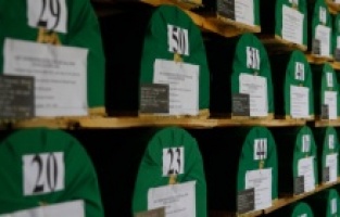 Visoko: Tabuti sa srebreničkim žrtvama spremni za kolektivnu dženazu