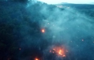 U požaru na Hvaru poginula jedna osoba