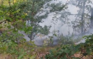 Banjalučki vatrogasci se i dalje bore sa vatrenom stihijom na Vrbanjskim brdima