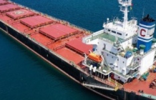 Dva broda sa žitaricama isplovila iz ukrajinskih luka