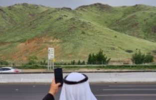 Zelenilo prekrilo ravnice i brda oko Mekke