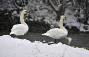 Zimska idila uljepšala vikend u Sarajevu