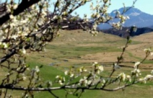 Prvo džemre donijelo natprosječne temperature, bit će još snijega i mraza