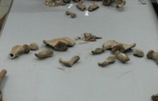 Institut za nestale osobe BiH: Identifikovani posmrtni ostaci žrtve genocida u Srebrenici