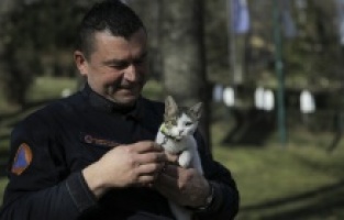 Sabahudin Spahović, bh. spasilac udomio mačku iz Turkiye: Nazvao je po djevojčici koja je spašena iz ruševina nakon 248 sati