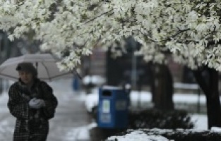 Čemu nas je naučila priroda u BiH: Snijeg na beharu normalna pojava