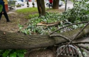 U Bosni i Hercegovini izdato narandžasto upozorenje za snažan vjetar